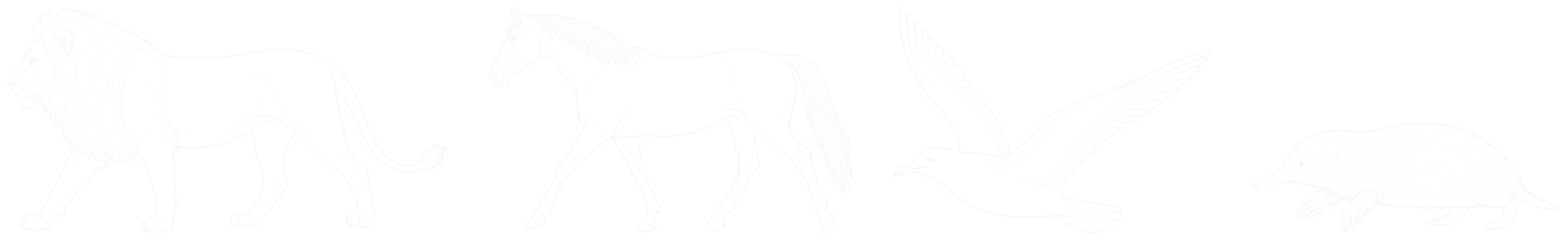 Leeuw, paard, meeuw en mol — de vier posities