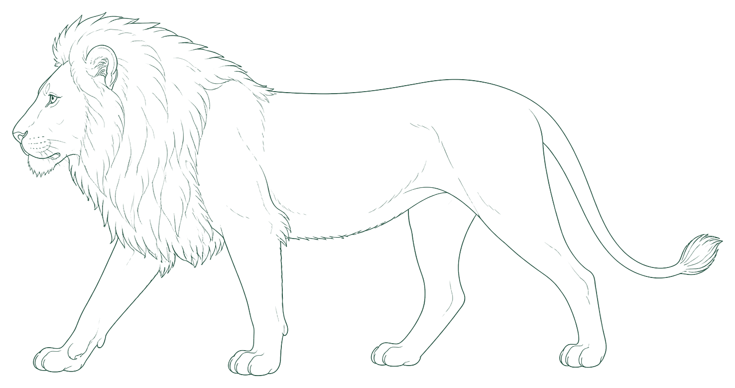 Leeuw — de Betrokken Beheerser