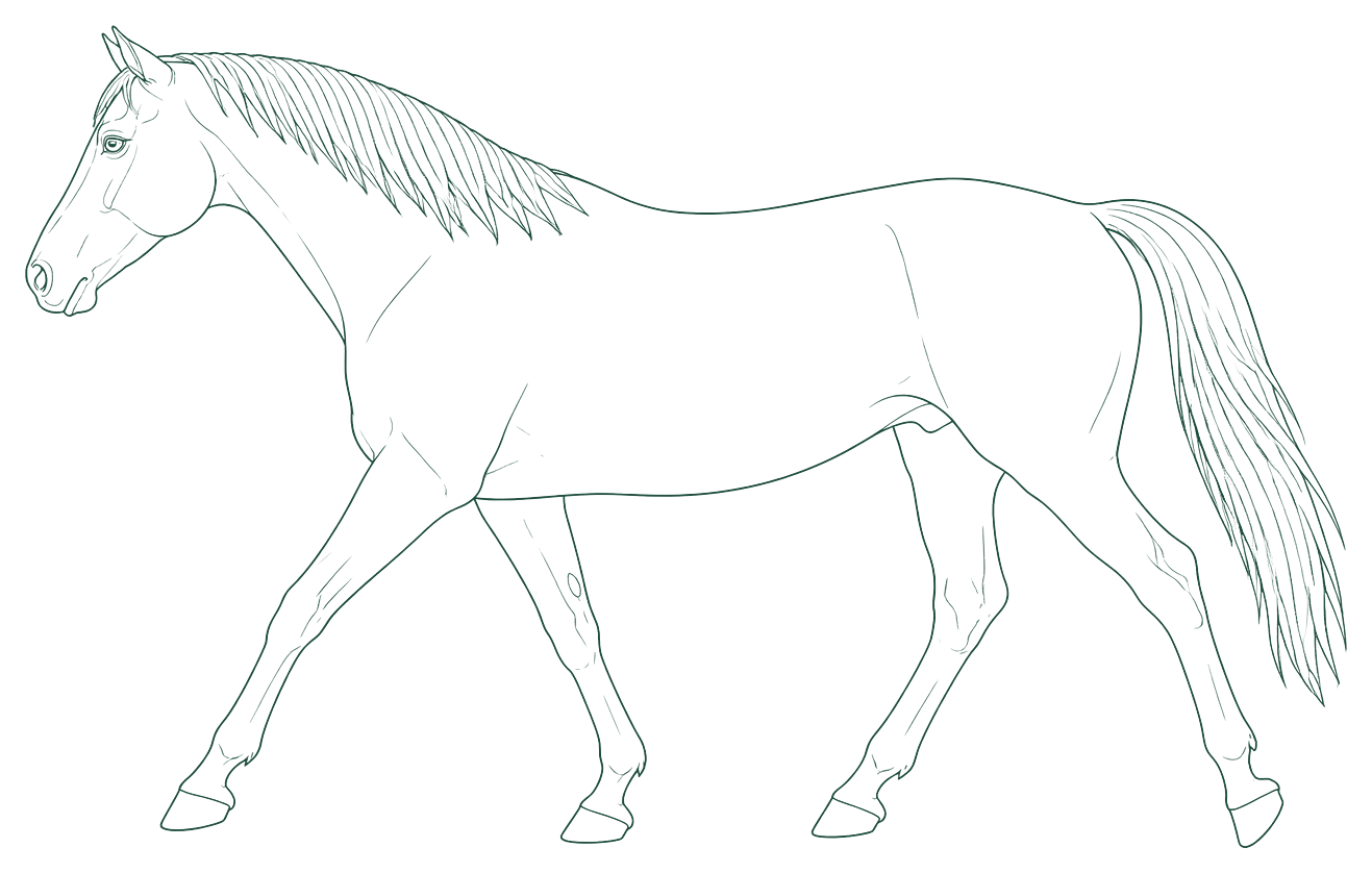 Paard — de Enthousiaste Worstelaar